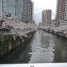Фото профиля t_ichikawa 🟠🌸