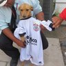 yruy's profile picture