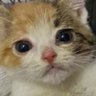 zenya's profile picture