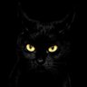 Pretzel108's profile picture