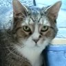 Profilbild von Lydalu2