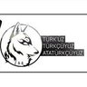 Zırt profil fotoğrafı