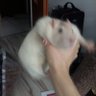 PotatoMan1111111115 的头像