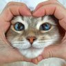 超ネコな人😻パチ・スロ専用垢🎰フォロバ宜しくお願いします🤗 profil fotoğrafı