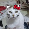 ias's profile picture