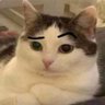 Profilbild von SatsQue