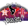 Profilbild von The H-Town Pulse