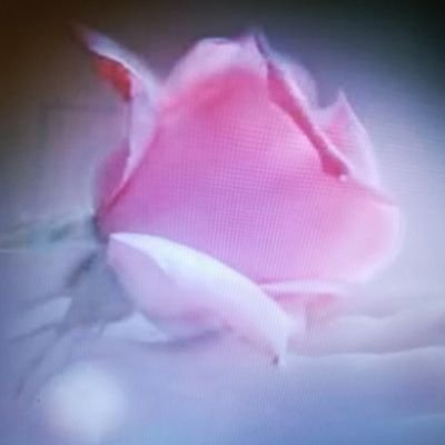Maria C. โ๏ธ's profile picture