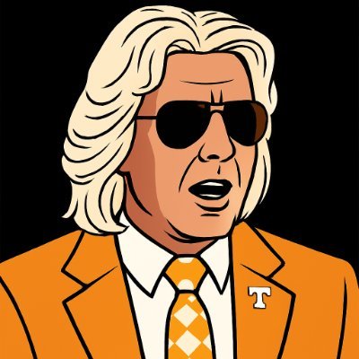 Ashley Schaeffer Vol's profile picture