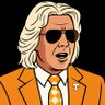 Ashley Schaeffer Vol's profile picture