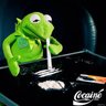 Sammy's profile picture