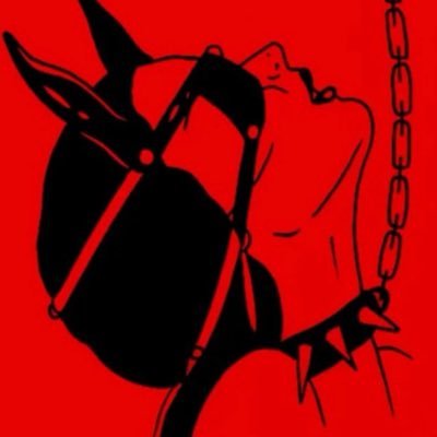 1rr_x7's profile picture