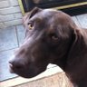TheADoctor's profile picture