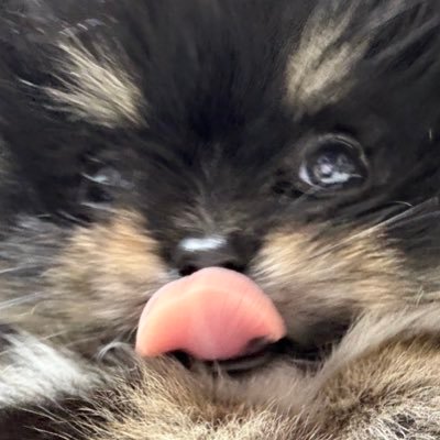 Wandava's profile picture