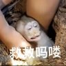刘刘's profile picture