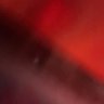 🦜 profil fotoğrafı