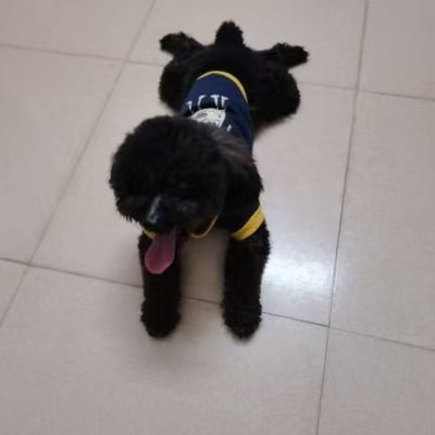 kele75311505's profile picture
