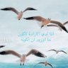 Фото профиля 🍊,💊رࣵوُح۫ ❆ ⓢⓞⓤⓛ