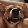 Alex Dilme's profile picture
