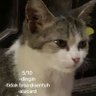 kiwkiw profil fotoğrafı