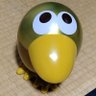 ひろ profil fotoğrafı