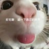 张's profile picture