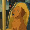 Dog On The Bus's profile picture