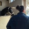 ice N profil fotoğrafı