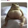 BB24's profile picture