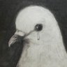 R's profile picture