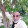 عميري موسىMoussaAmiri's profile picture