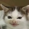 Goo4's profile picture