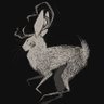 The Wasatch Jackalope 的头像