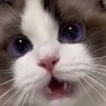 Profilbild von emi