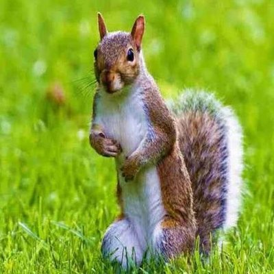 Nature is Phenomenal's profile picture