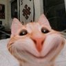 Фото профиля Lucas
