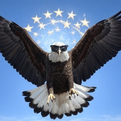 Comfort Eagle's profile picture