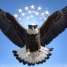 Comfort Eagle's profile picture