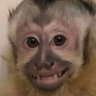 MR_DK_TWEET2🏴's profile picture