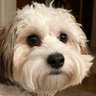 Dotherightthing's profile picture