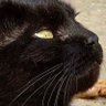 Sink Positive's profile picture