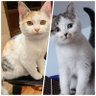 Iarlboro profil fotoğrafı