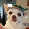 Natasha's profile picture