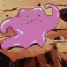 Profilbild von chii