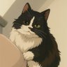 sTim's profile picture