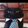 woozywizard's profile picture
