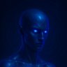 Morphy's profile picture