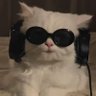 Profilbild von 쟉봄