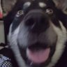 Profilbild von James Scott
