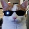 moody's profile picture